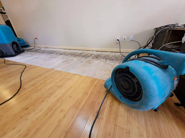 Professional Structural Drying technician working in Temple Bar Marina, AZ